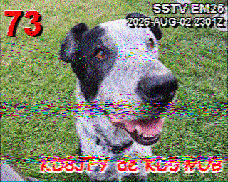 SSTV