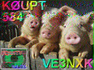 SSTV