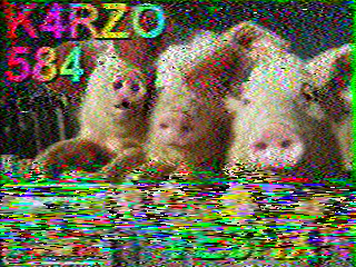 SSTV