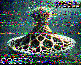 SSTV