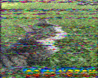 SSTV