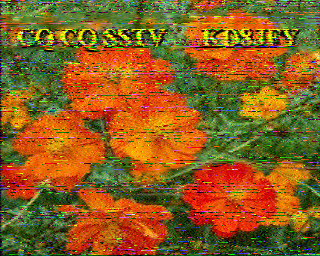 SSTV