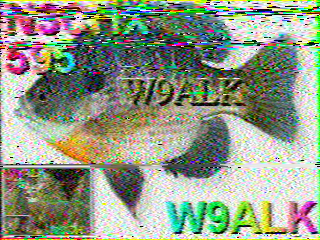 SSTV