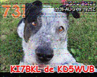 SSTV