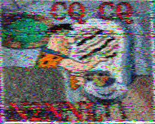 SSTV