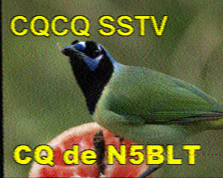 SSTV