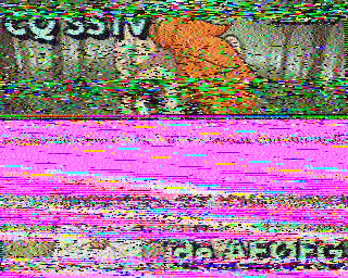 SSTV