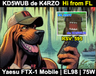 SSTV