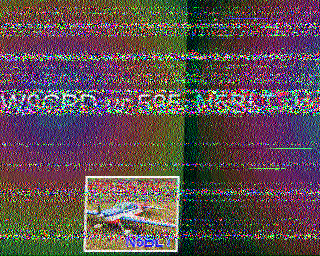 SSTV