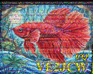 SSTV