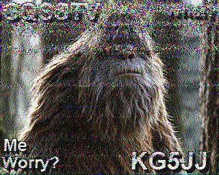 SSTV