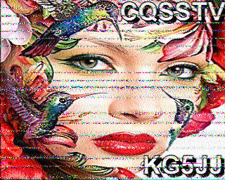 SSTV