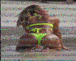 SSTV