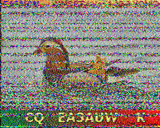 SSTV