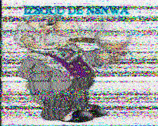 SSTV