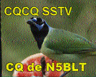 SSTV