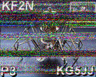 SSTV