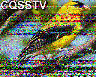 SSTV