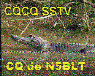 SSTV