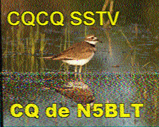 SSTV