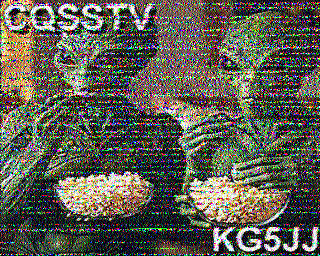 SSTV