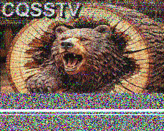 SSTV