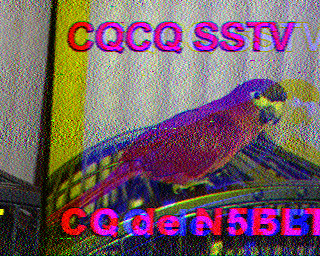 SSTV