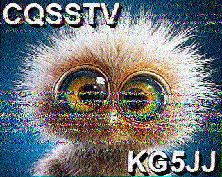 SSTV