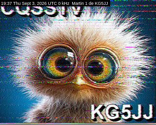 SSTV