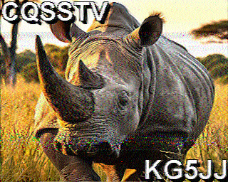 SSTV
